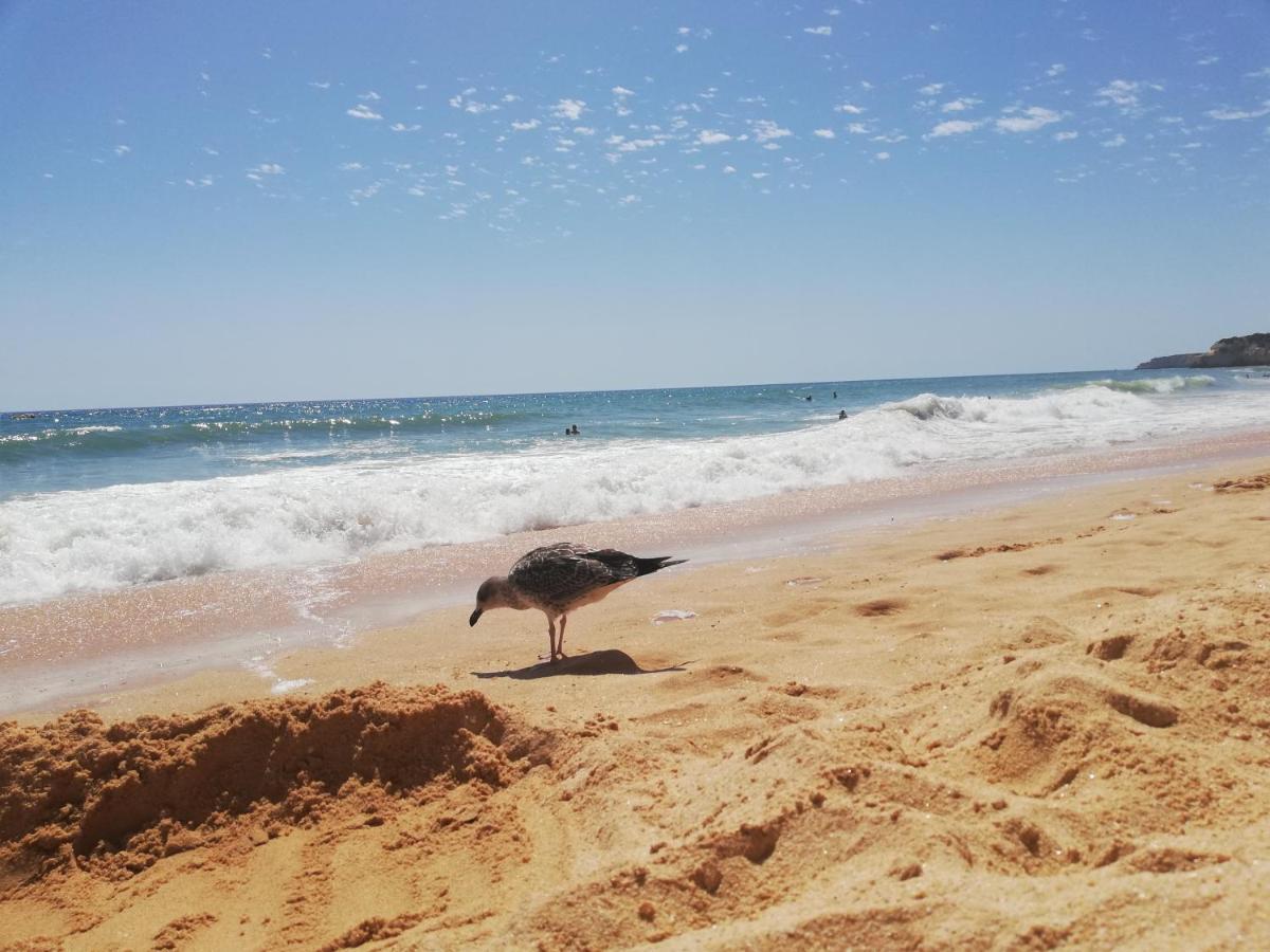 Apartamento Do Algarve Armacao de Pera Ngoại thất bức ảnh
